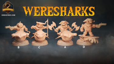 Wereshark Bundle 5